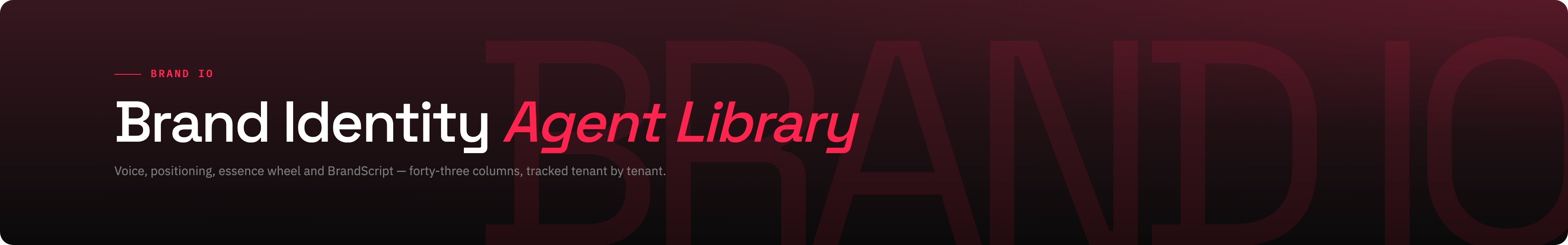 Brand Identity colour / dark