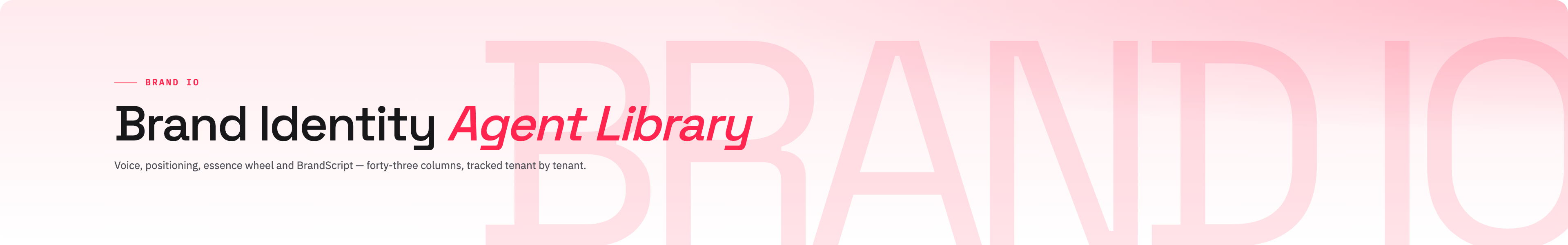 Brand Identity colour / light