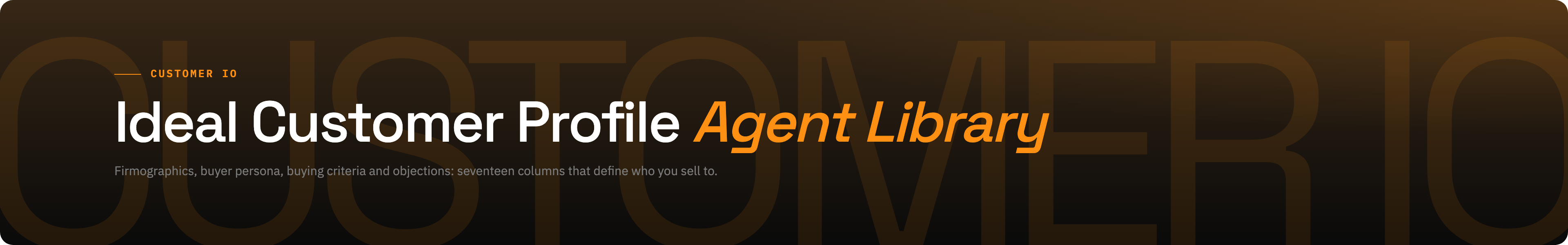 Ideal Customer Profile brand / dark